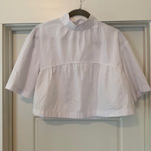 Everlane White Mockneck Cropped Swing Top- M